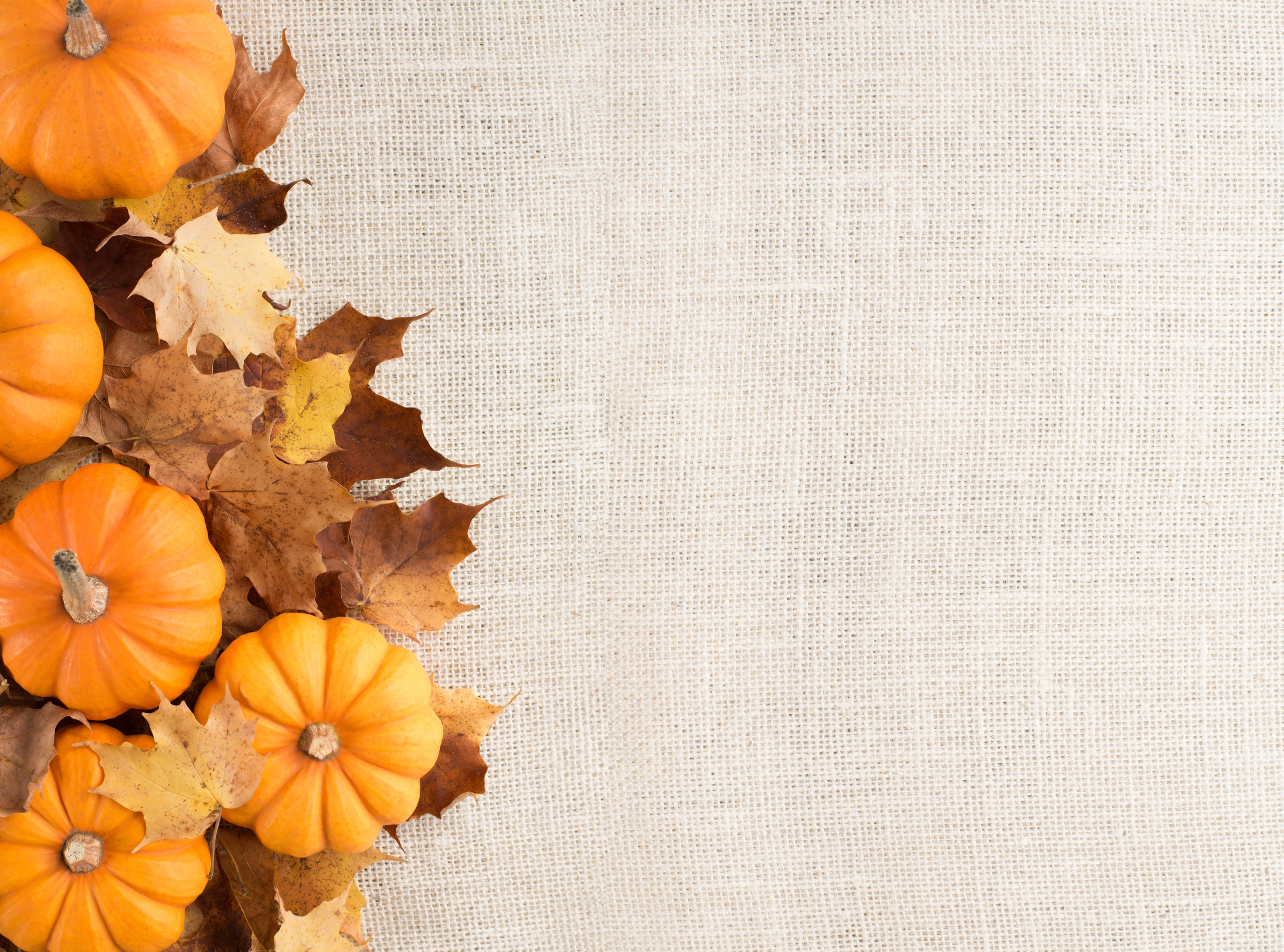 Jumbo Harvest Fall Decorations Background